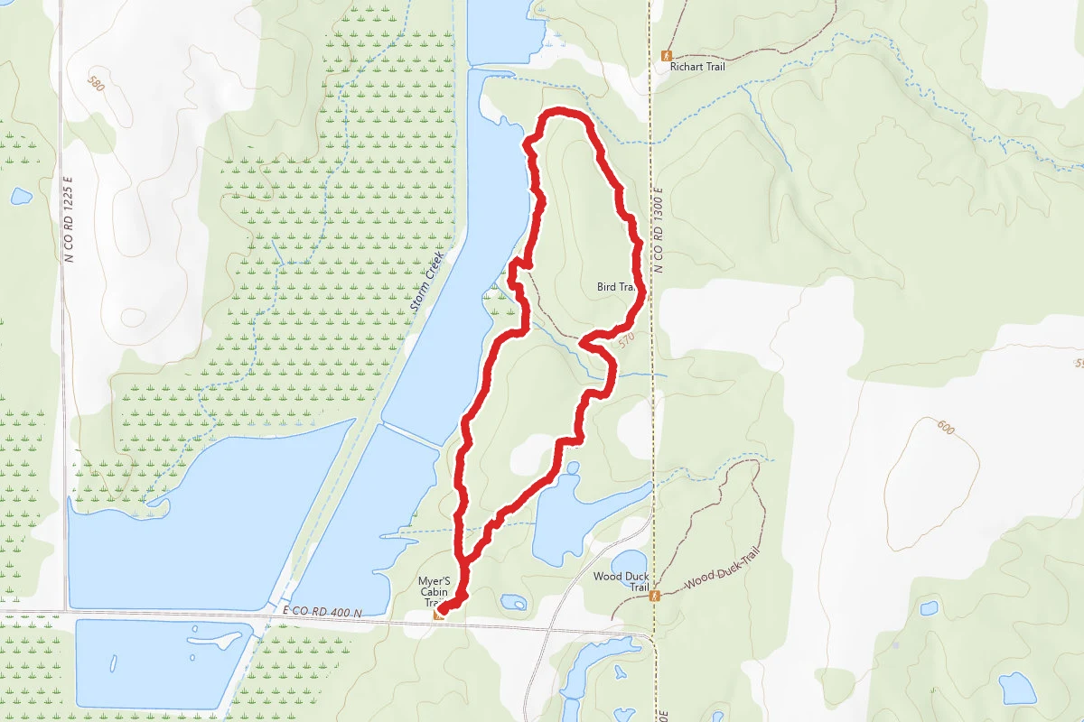 Turkey and Bird Trail