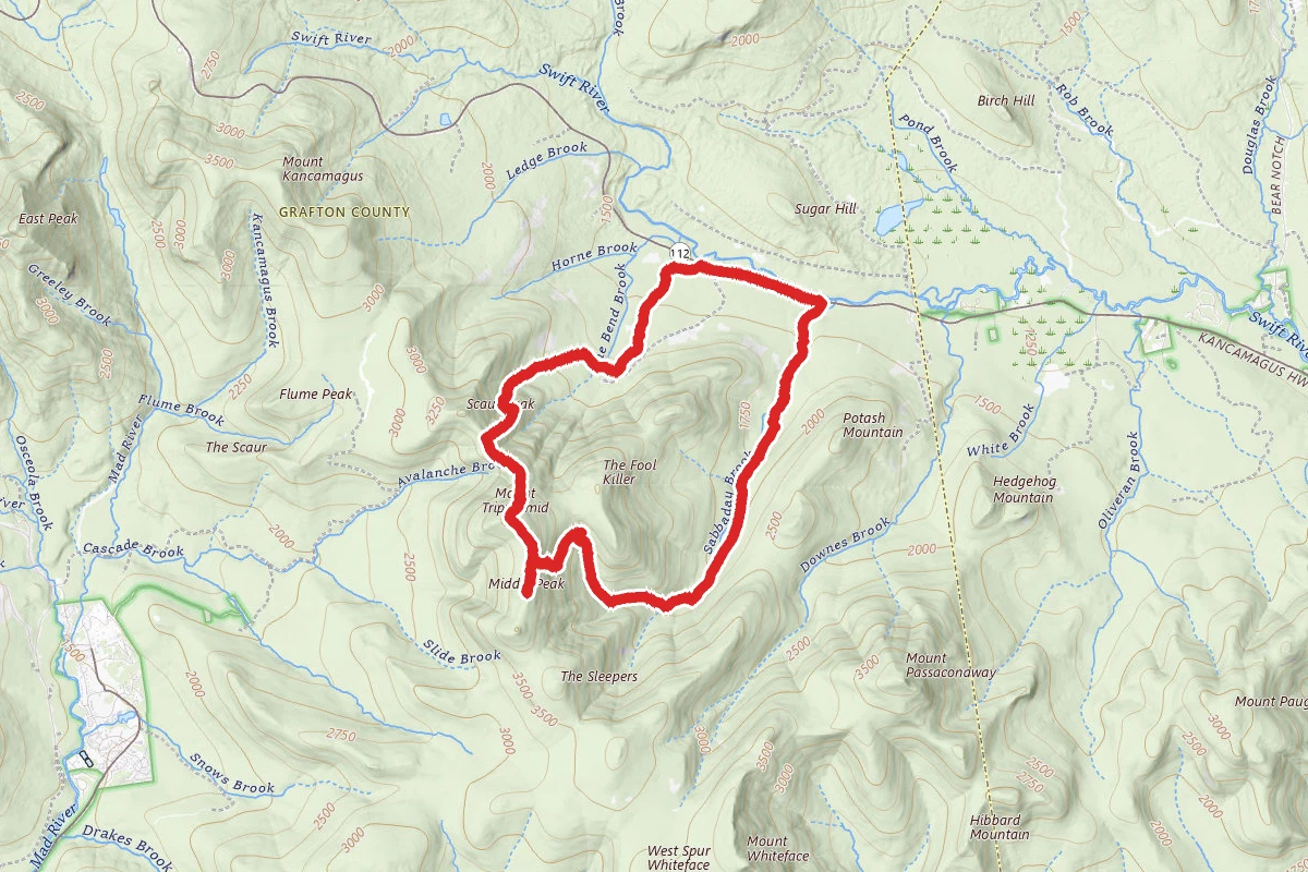Pine Bend Brook Trail to Sabbaday Brook Trail Loop