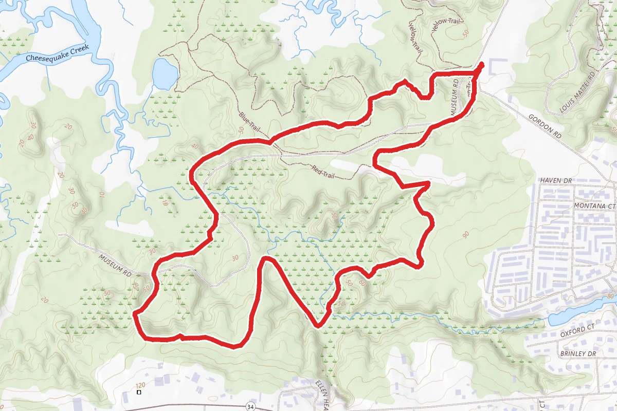 Cheesequake Green Trail