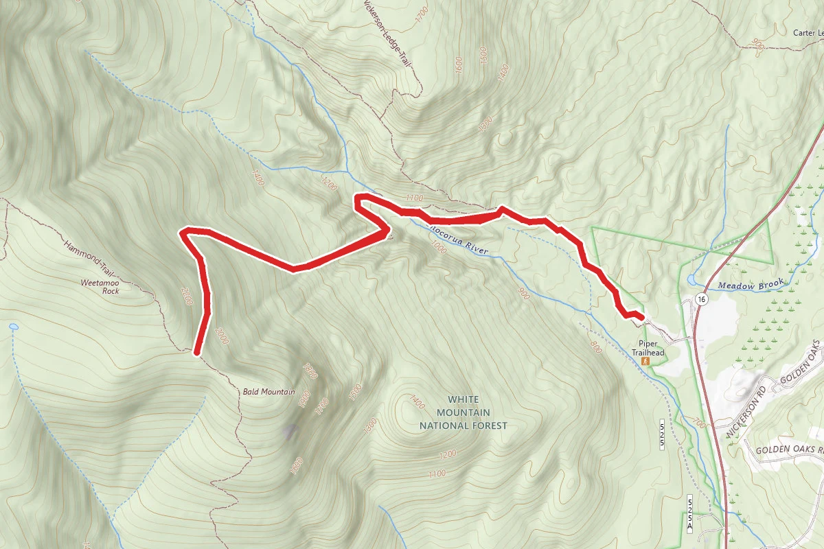 Weetamoo Trail Via Piper Trail