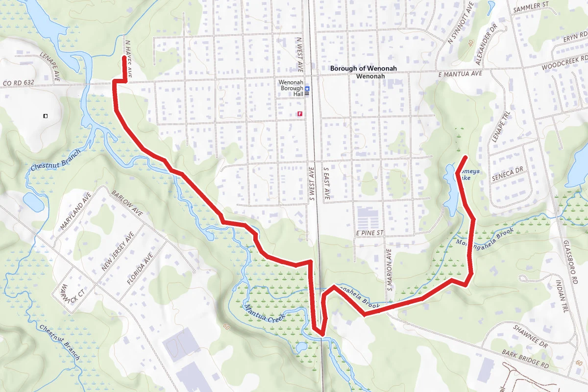 Mantua Creek Trail