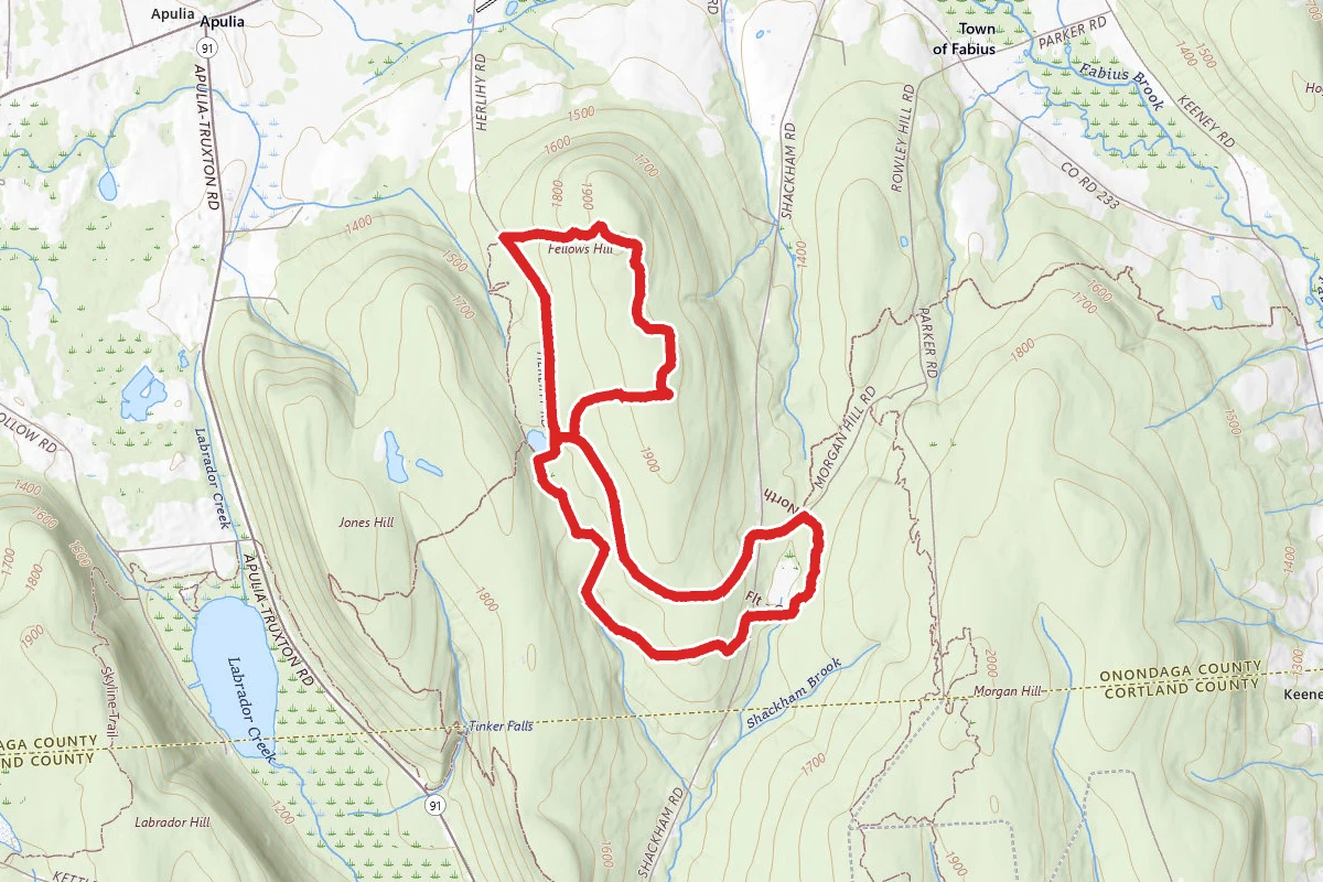 Spruce & Shackham Ponds Trail