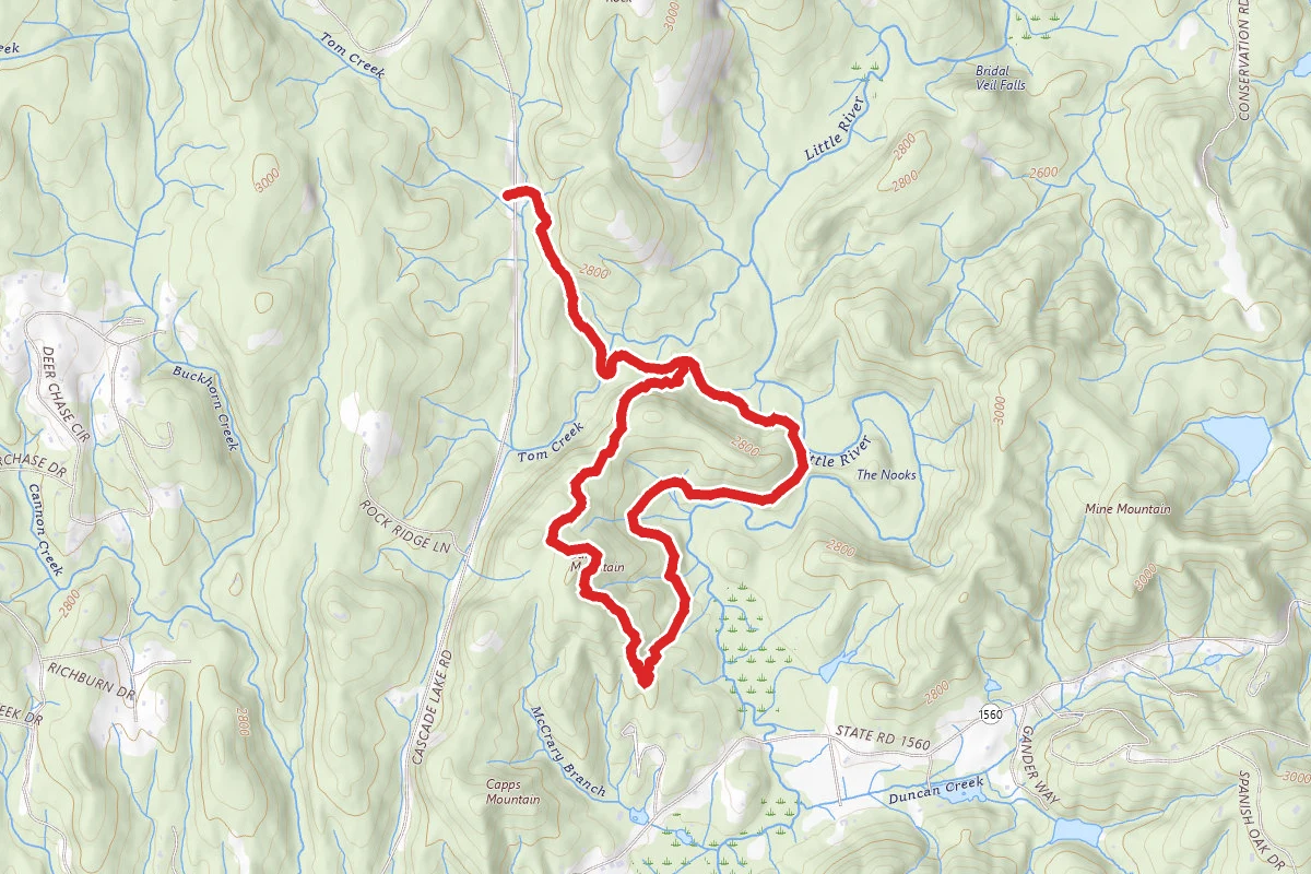 Burnt Mountain Loop via Corn Mill Shoals Trail