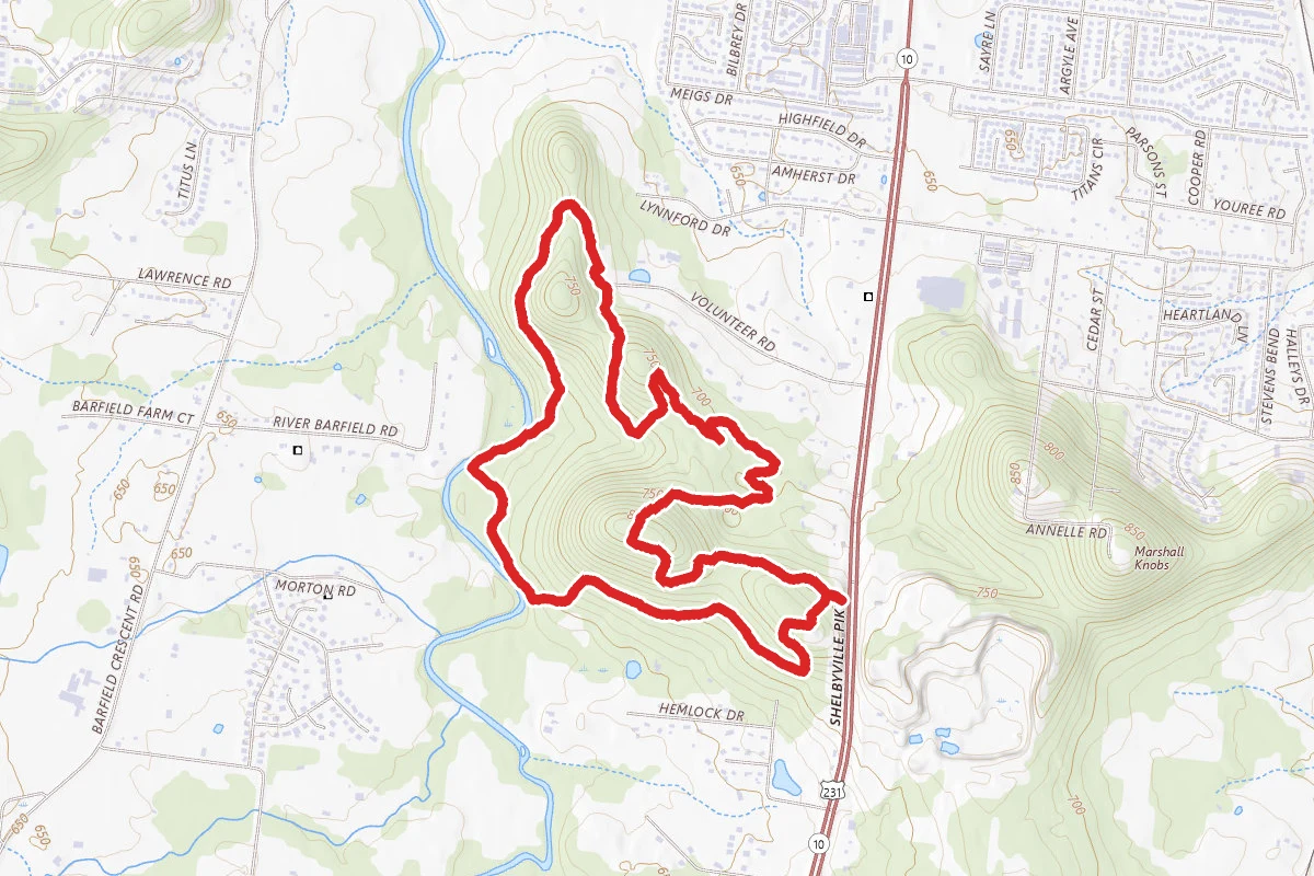 Barfield Wilderness Trail Loop