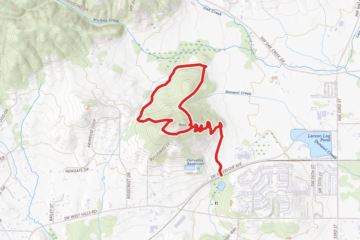 Bald Hill Natural Area Loop from SW Reservoir Avenue