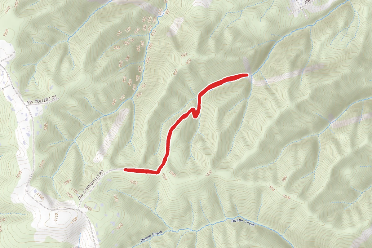 Hardesty Trail