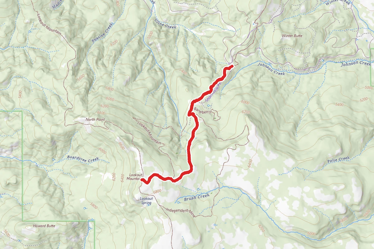 Independent Mine to Lookout Mountain Summit Trail