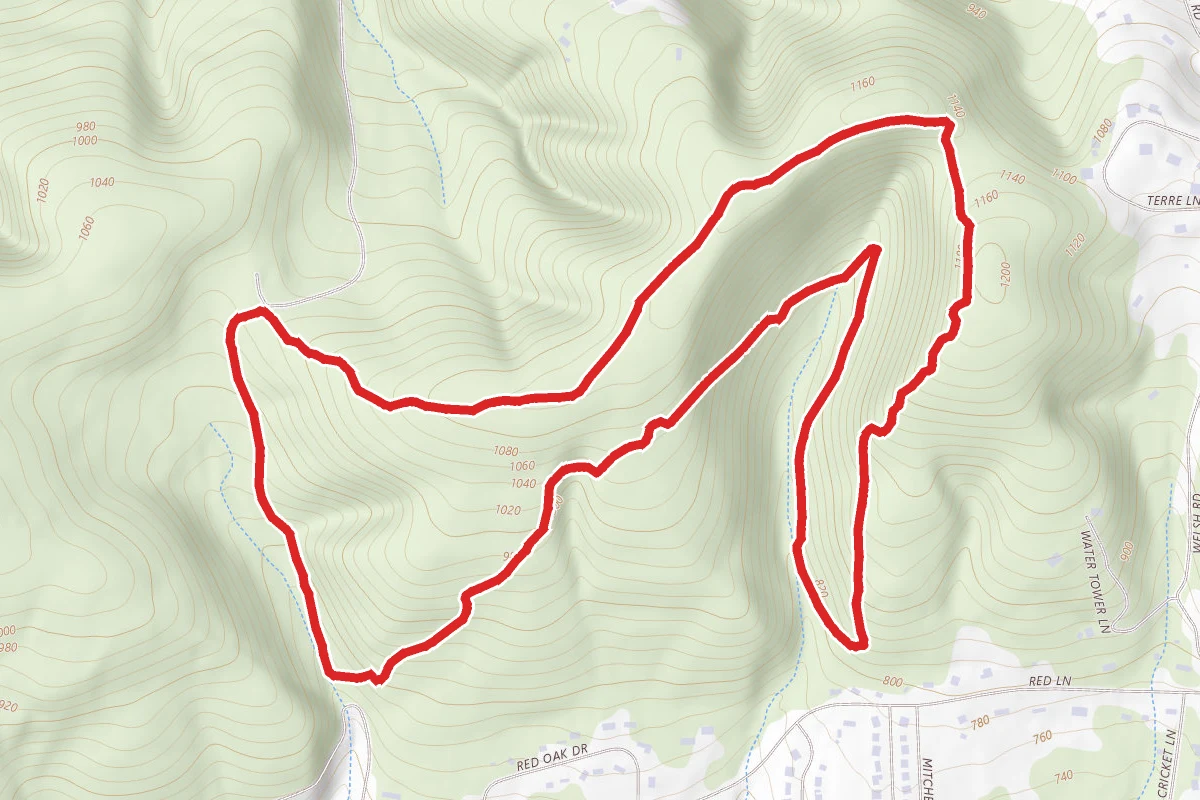 Black Bear and Turkey Loop