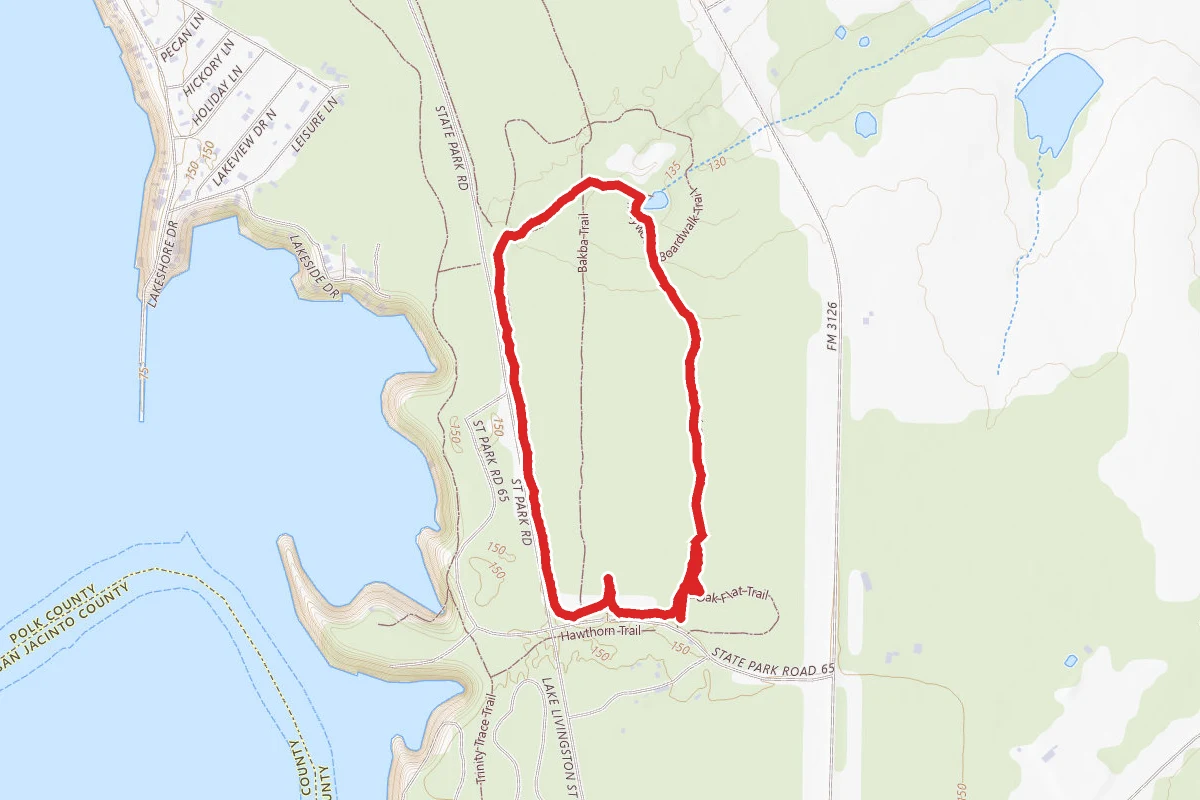 Lake Livingston Main Trail