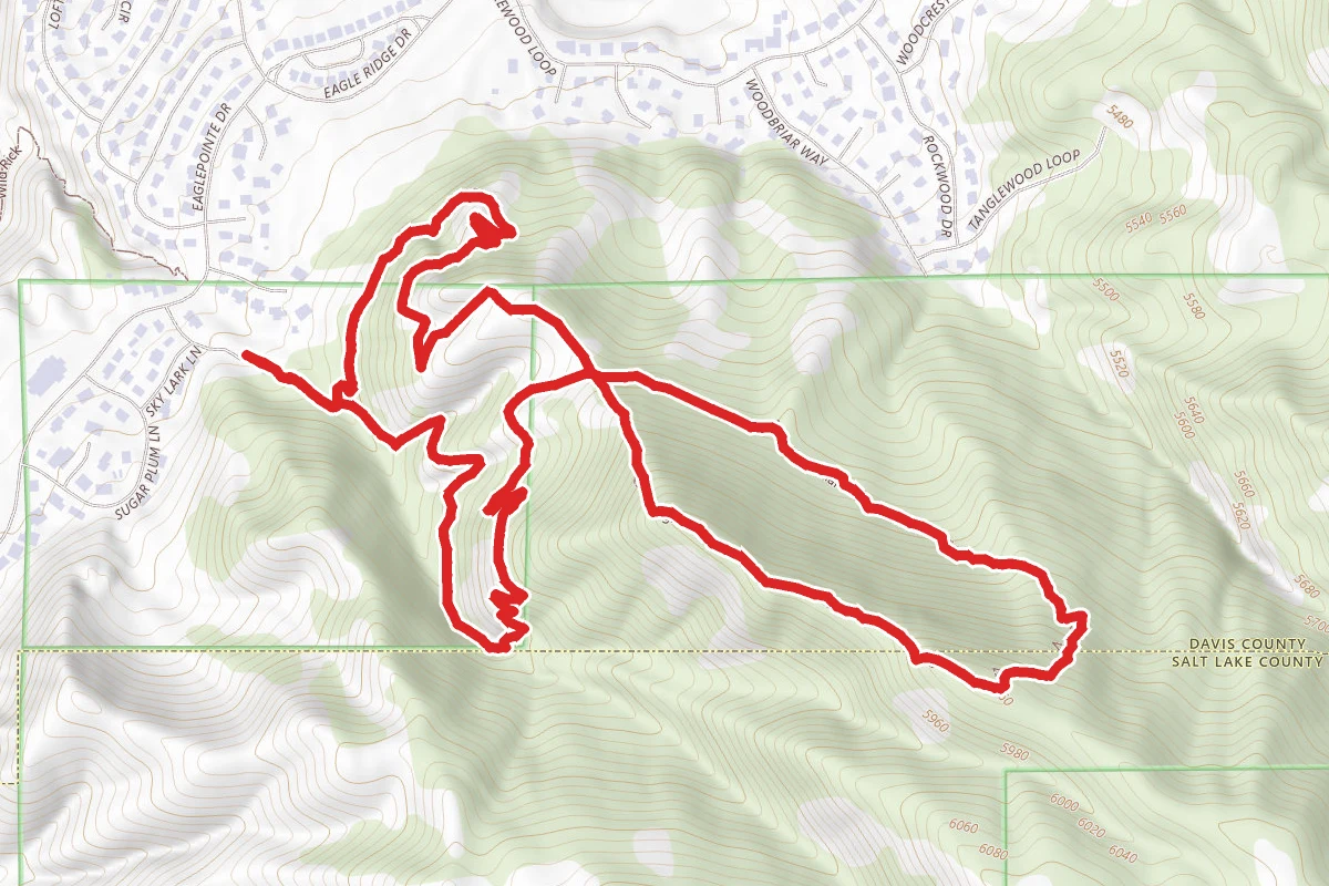Wild Rose Trail Loop