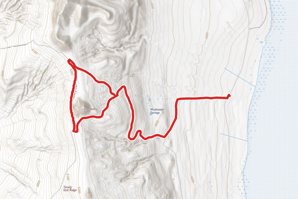 The Sentry Loop