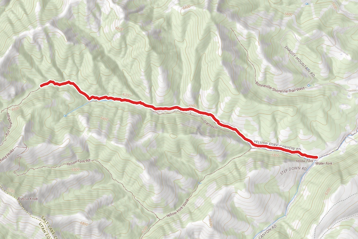 Yellow Fork Trail