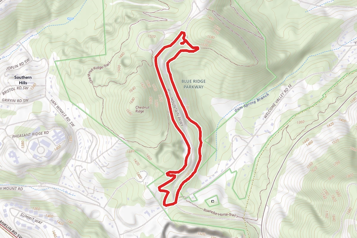 Chestnut Ridge Overlook Loop