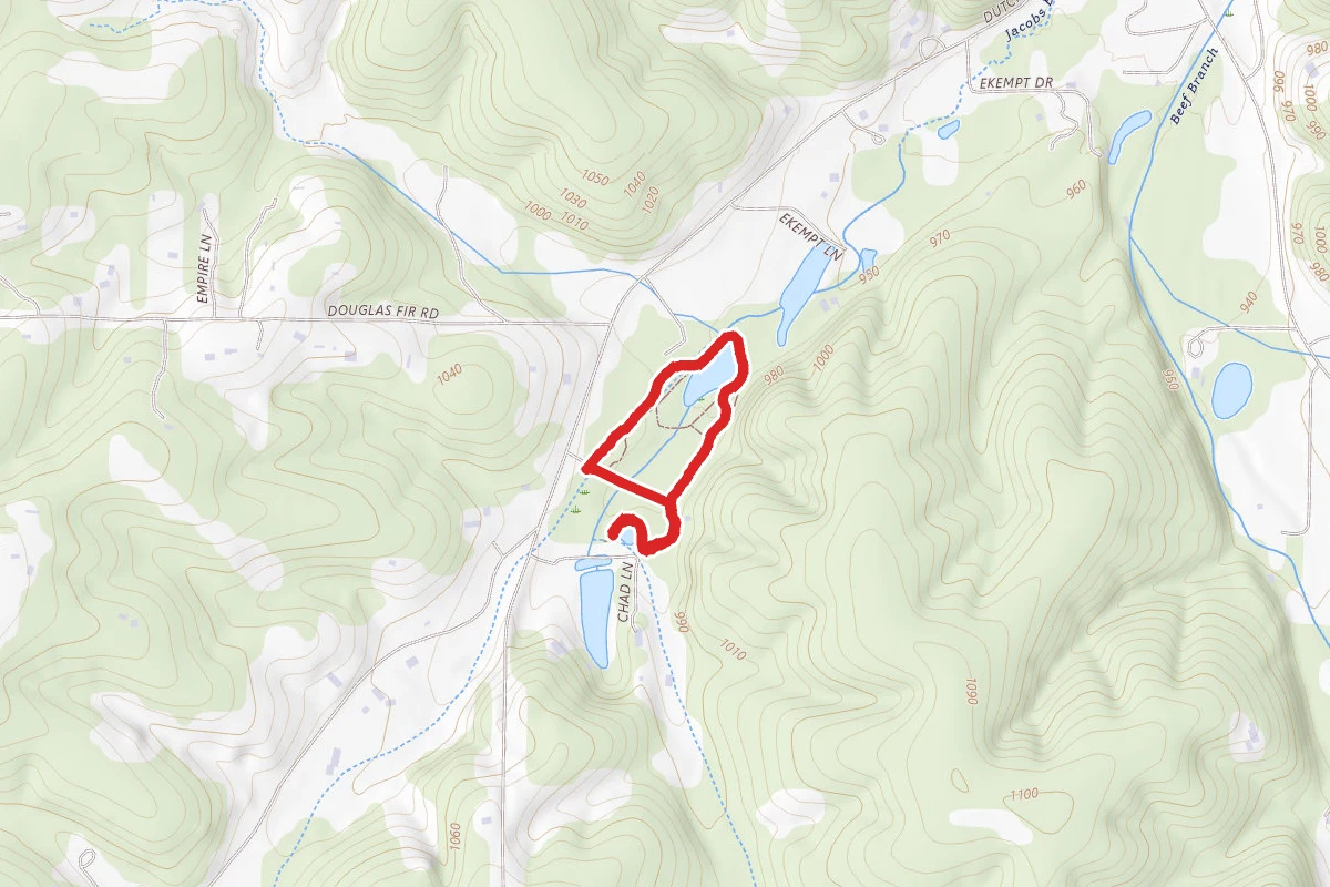 Walter Woods Conservation Area Trail