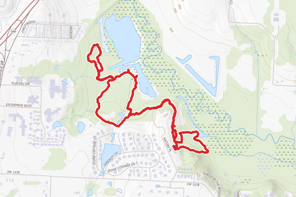 Wood Duck, Cedar Break, Laughlin Trails Loop