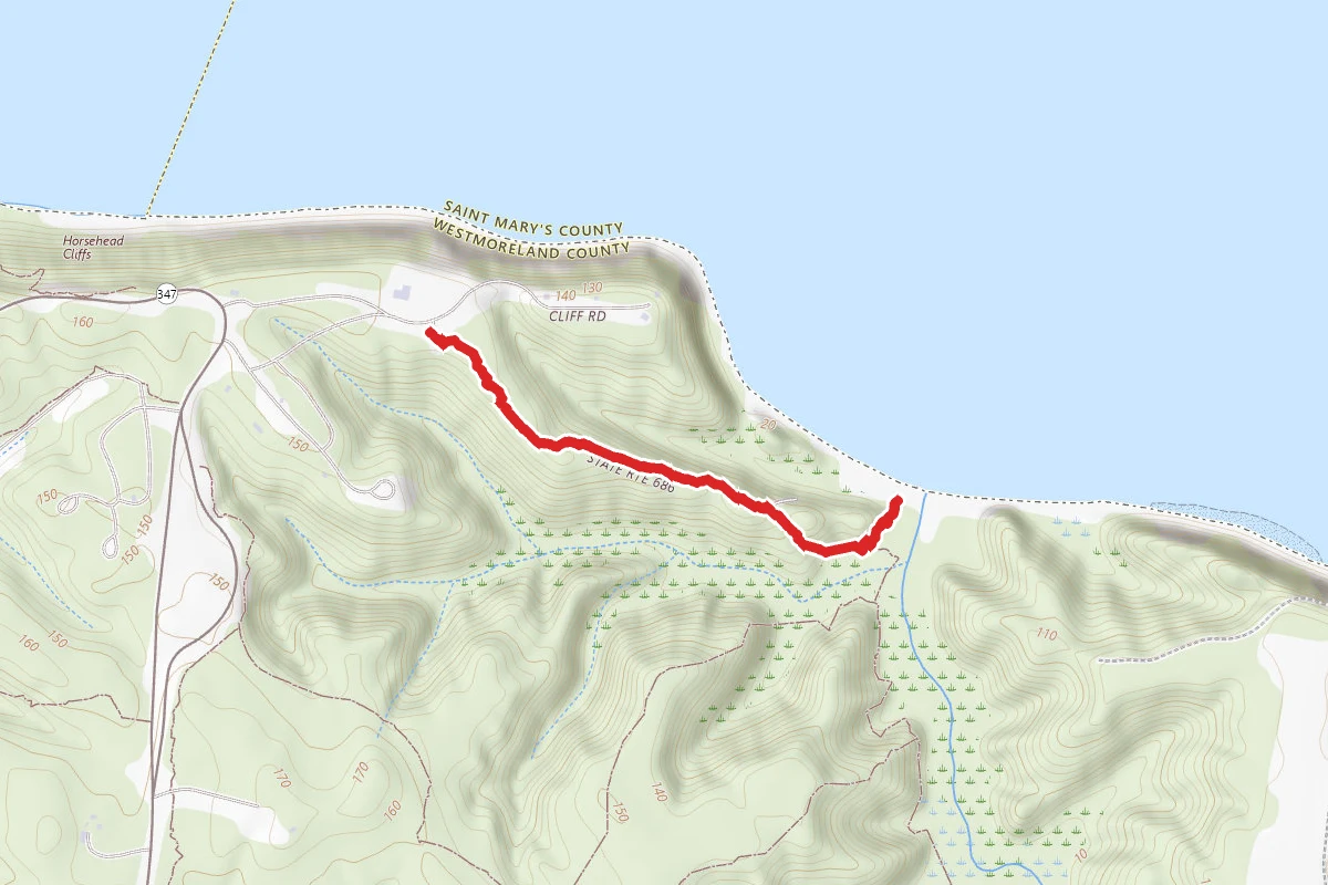 Big Meadow Trail