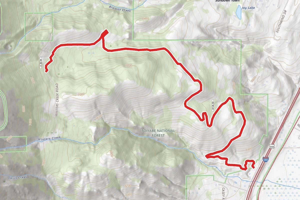 Washoe Vista Forest Road