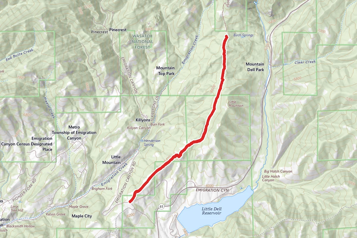 Little Mountain Ridge Trail