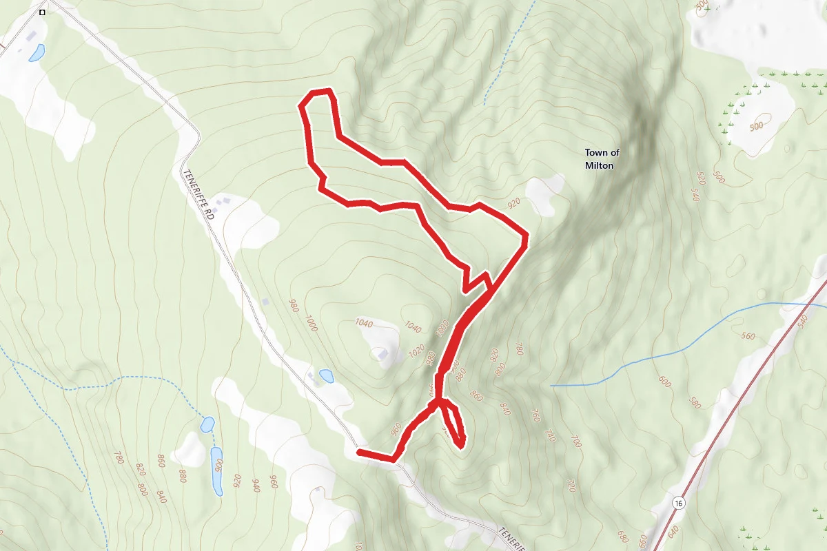 Mt. Teneriffe Trail