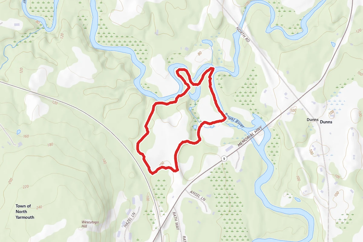 Old Town House Park Trails