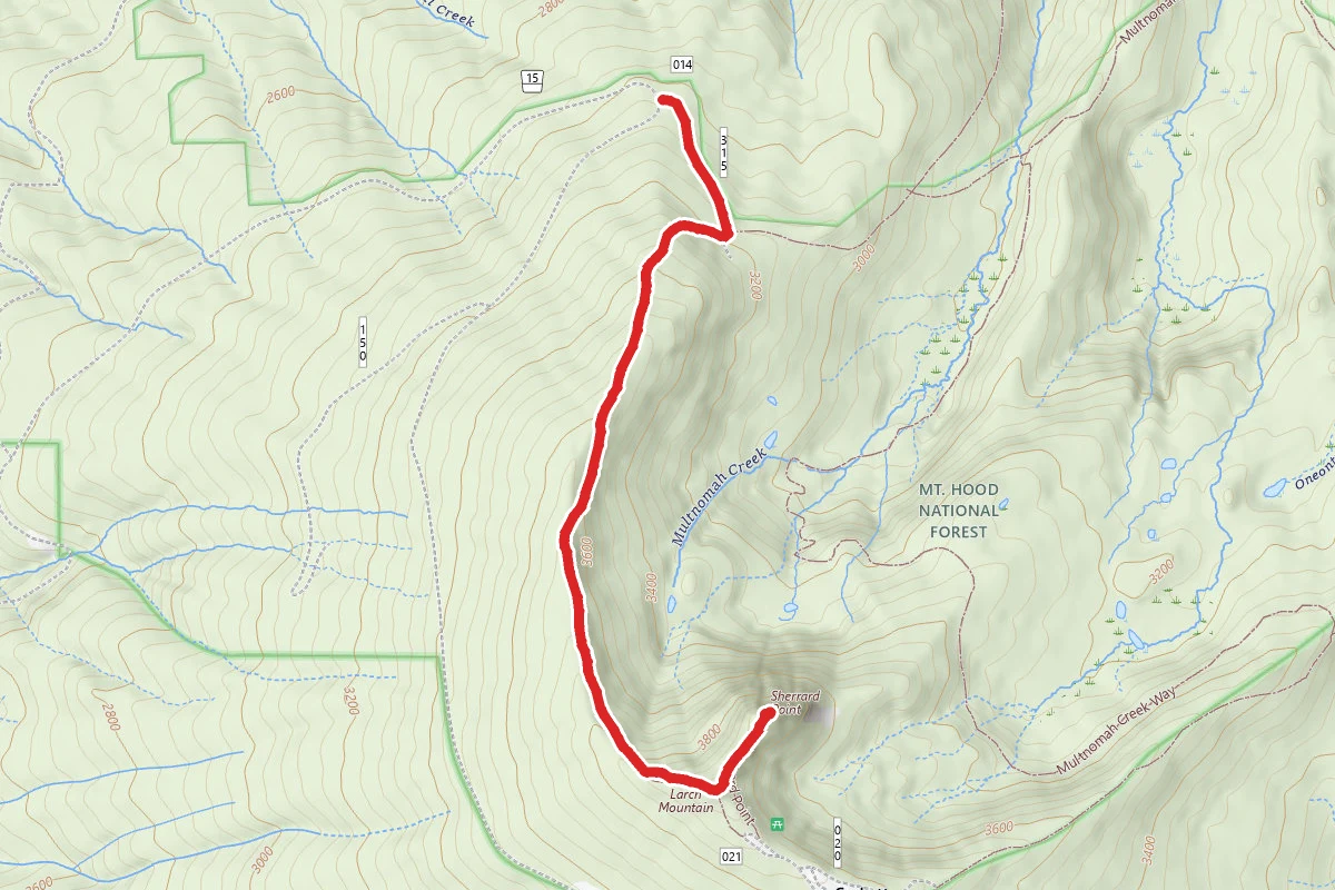 Sherrard Point via Larch Mountain Trail