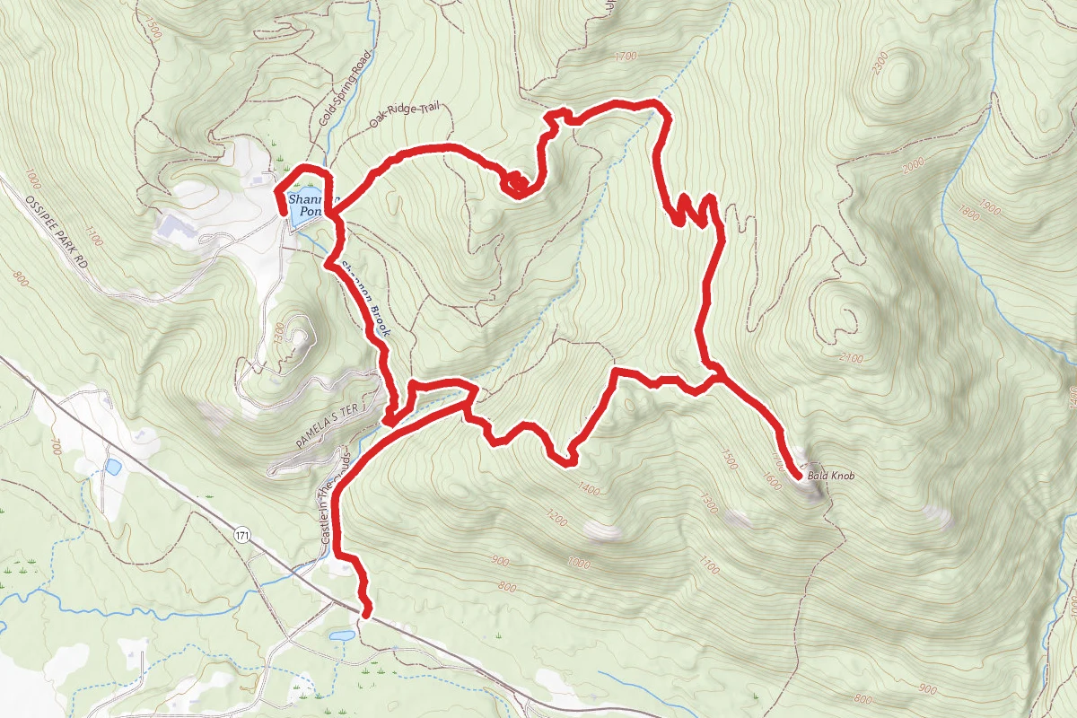 Shannon Brook, Pond Trail, Bridle Path, and Bald Knob Trails