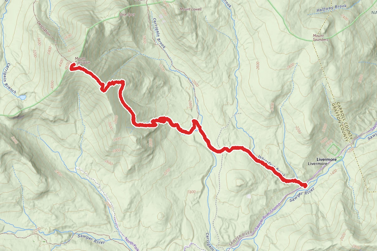 Signal Ridge Trail to Mount Carrigain