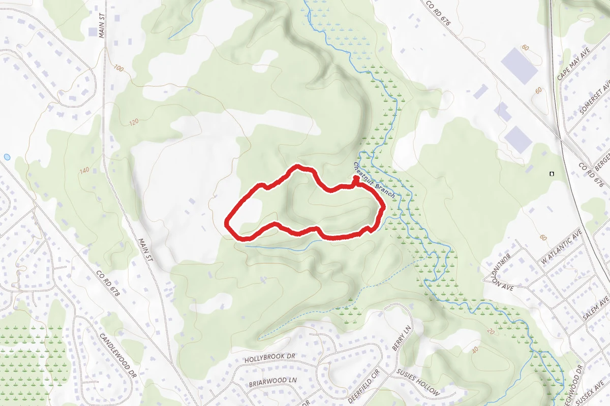 Chestnut Branch Park Nature Trail