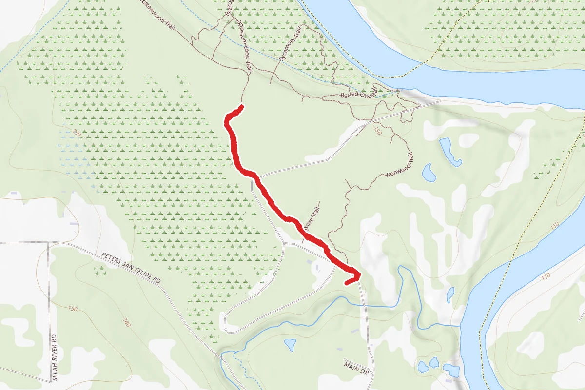 Pileated Trail