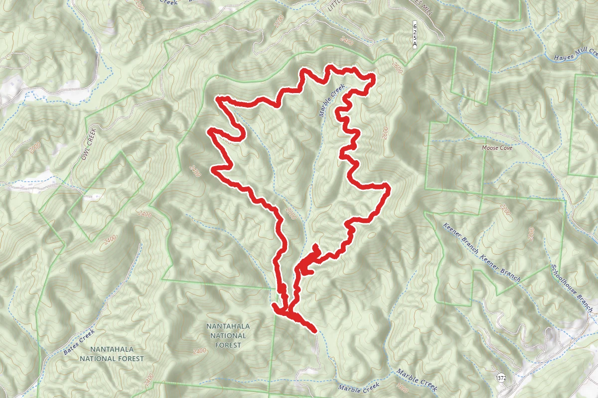 The Gobbler Loop