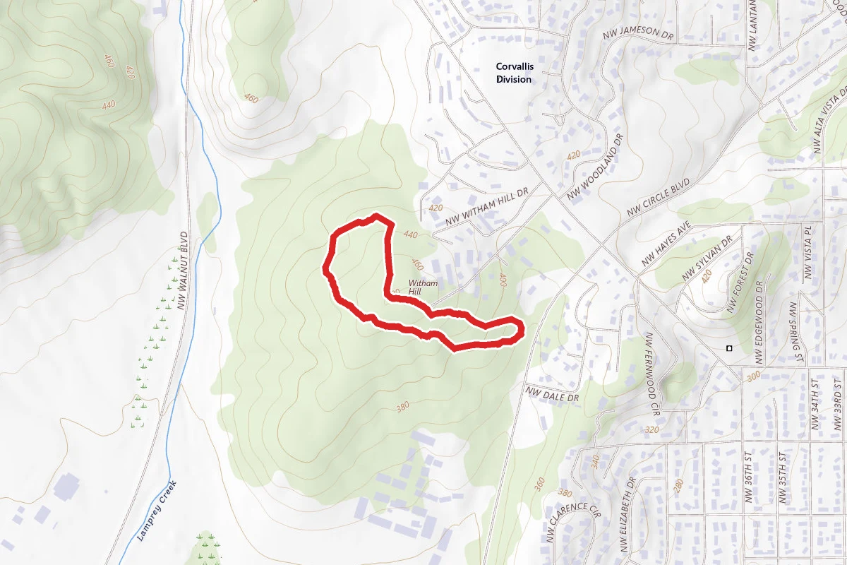 Witham Hill Natural Area Uphill Loop