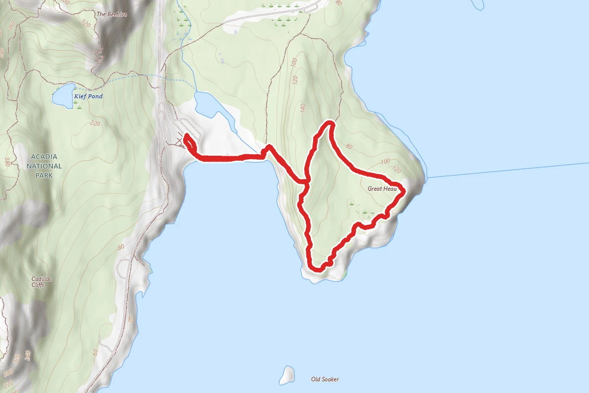 Great Head Trail (Short Option)