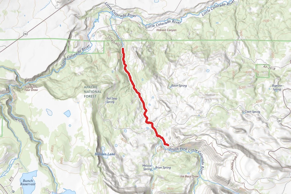 South Fork Little Colorado River Trail 97
