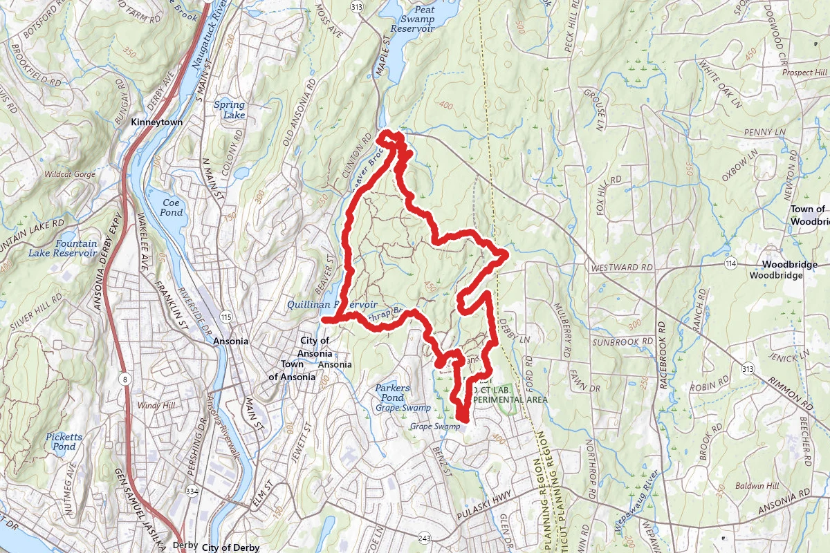 Quillinan Reservoir Perimeter Loop