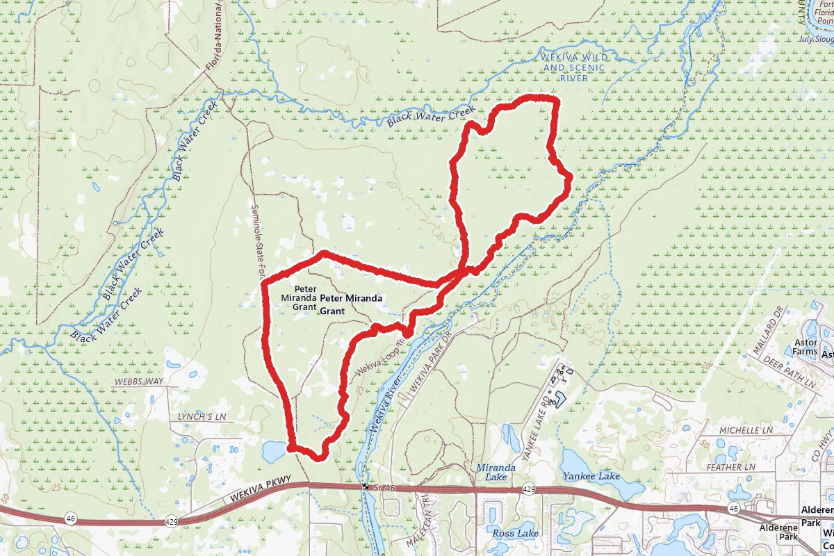 Lower Wekiva Loop