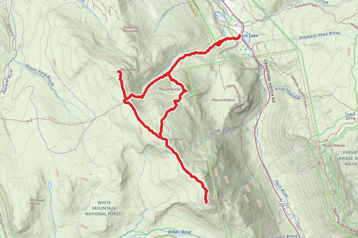 Mount Tom, Mount Field, Mount Willey, and Mount Avalon Trail