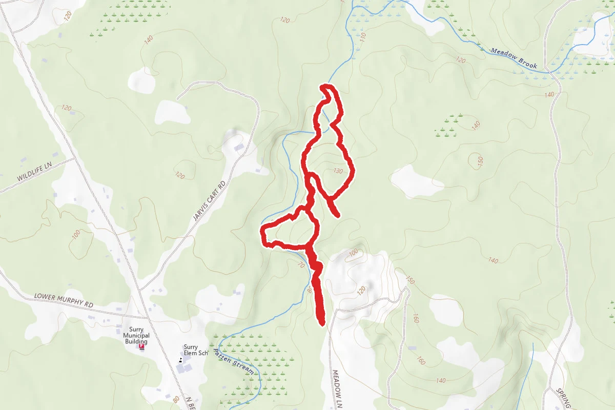 Patten Stream Trail