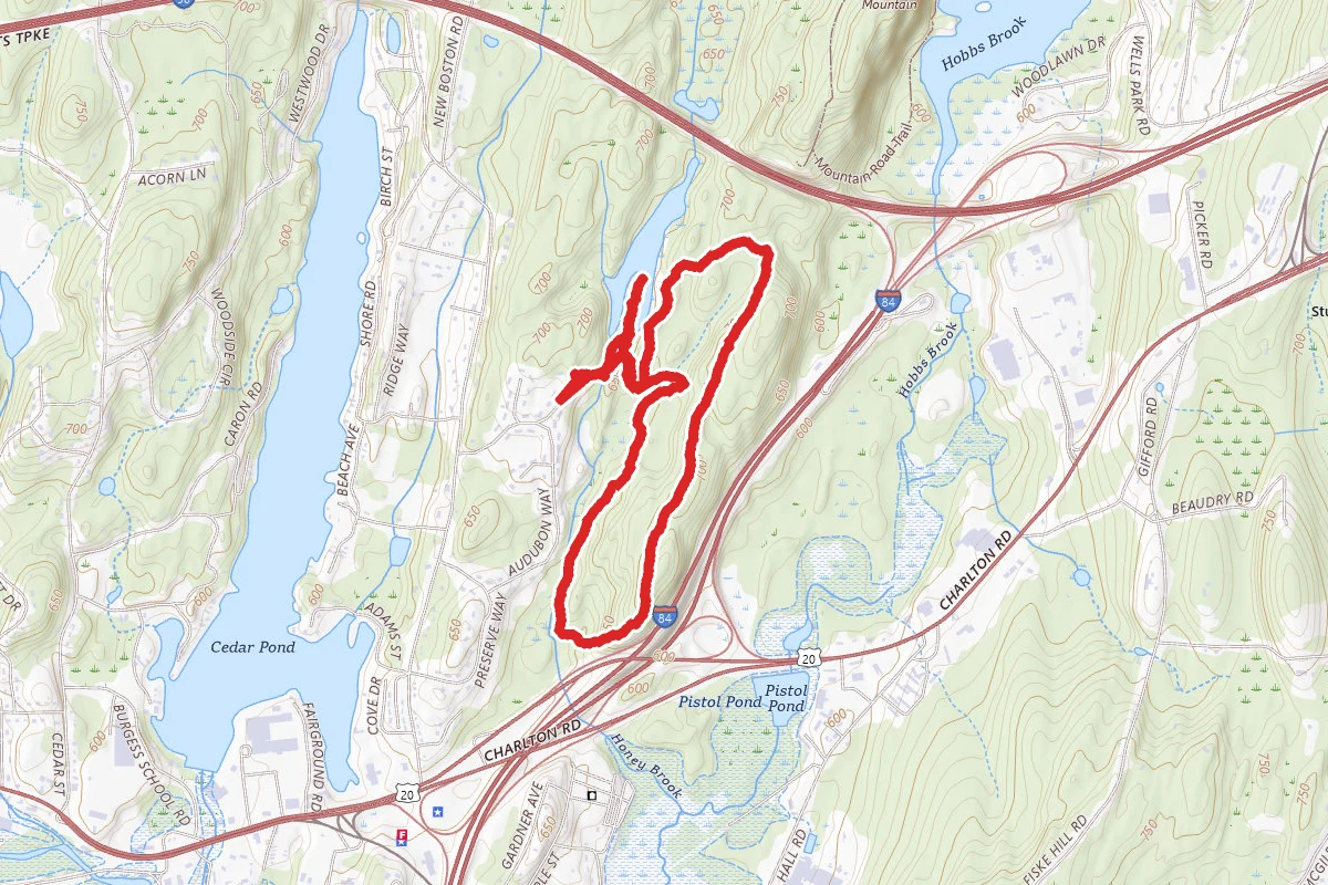 Opacum Woods Loop
