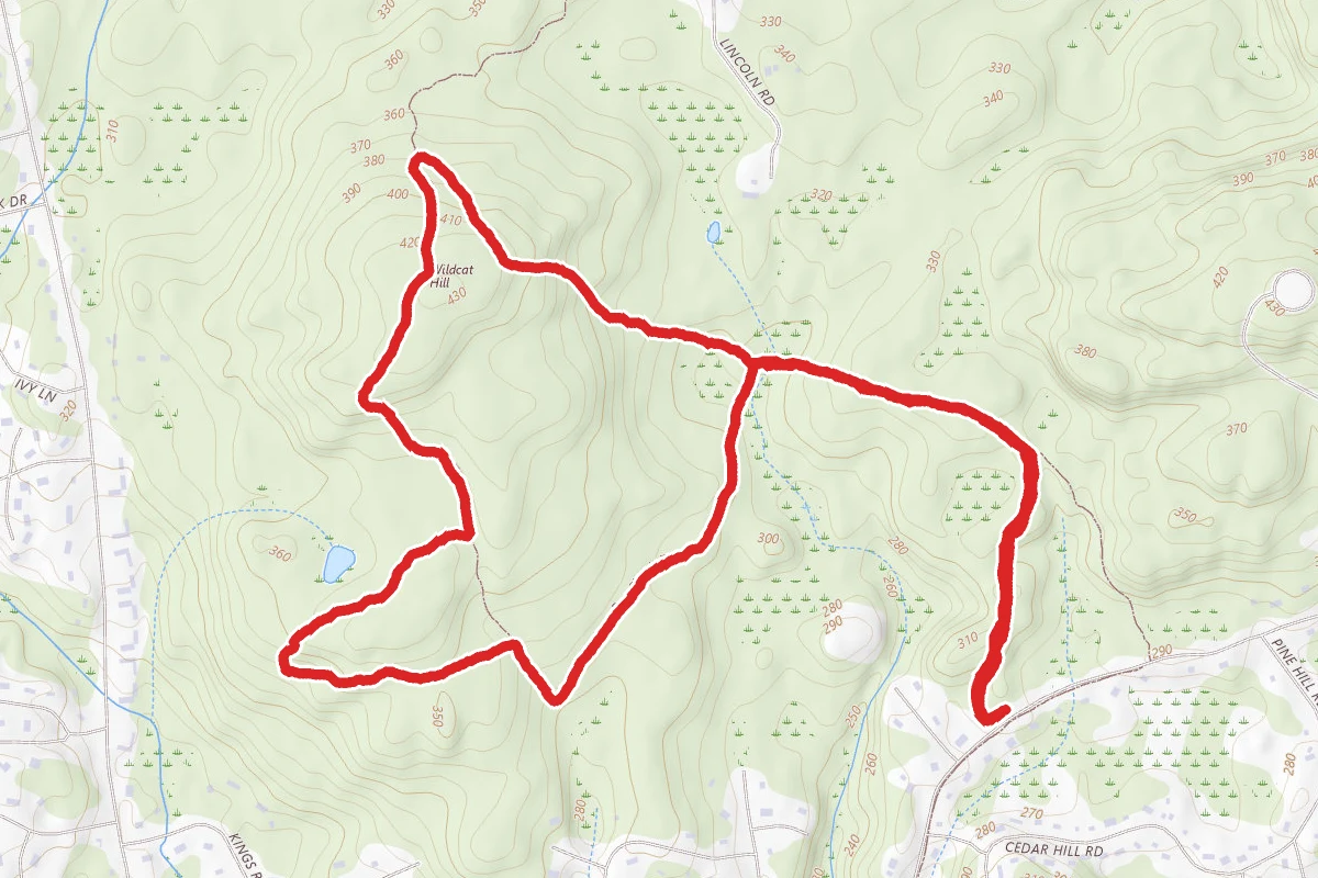 Wildcat Hill via Red Diamond to Bay Circuit Loop
