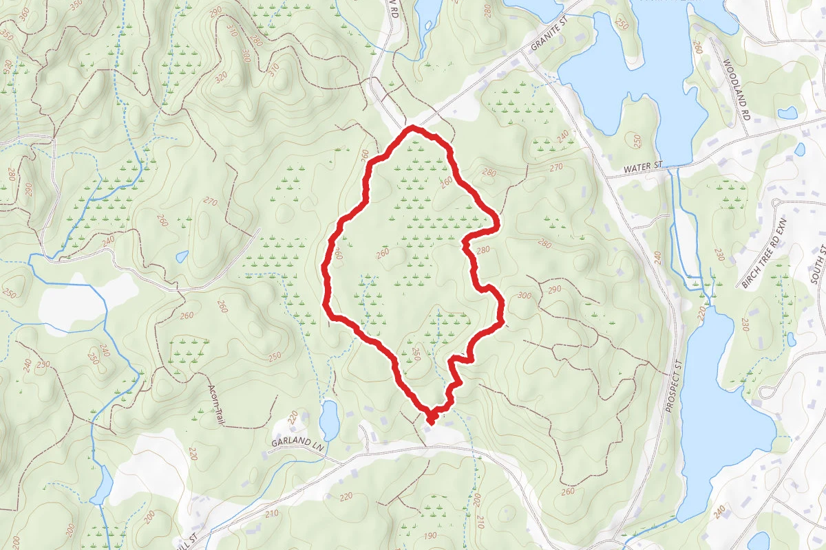 Tupelo Trail Loop