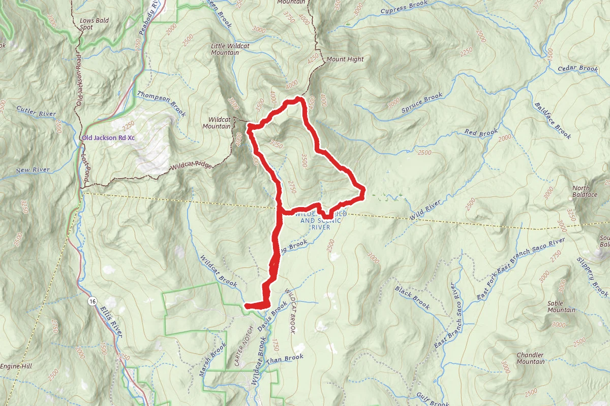 Carter Dome Trail