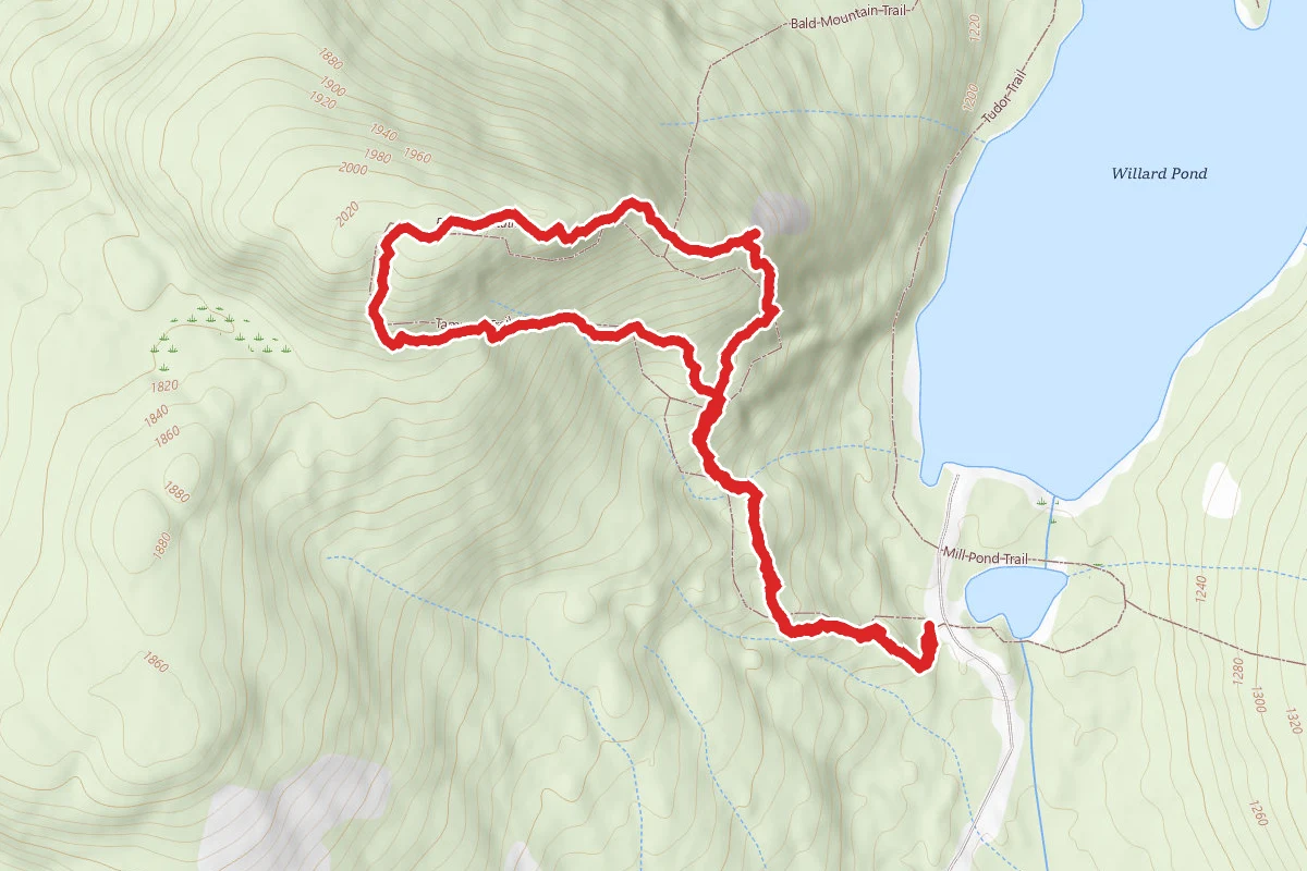Bald Mountain via Tamposi Trail Loop