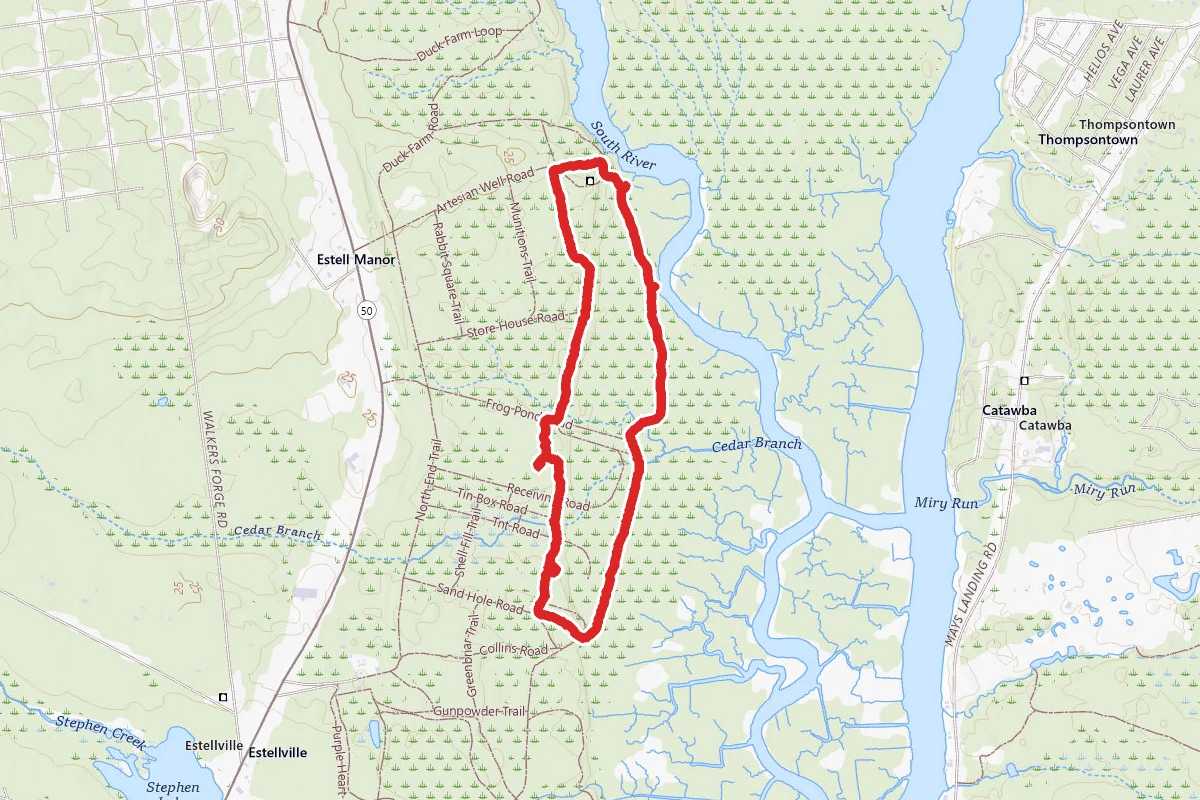 Swamp Trail and Boardwalk Loop