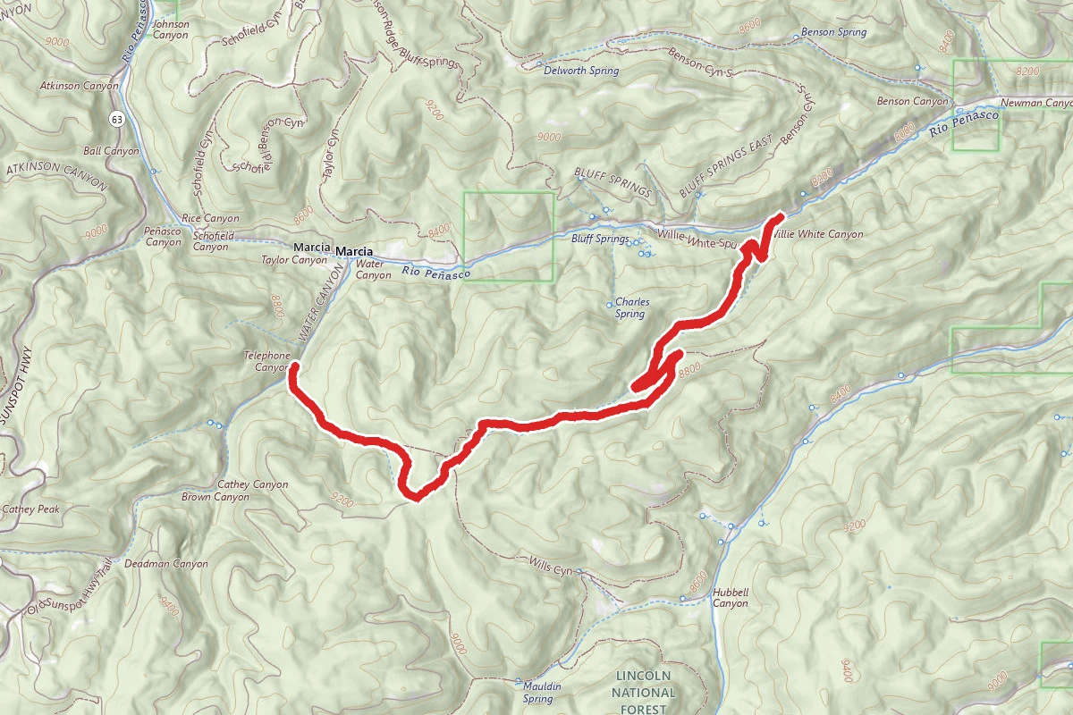 Willie White Trail