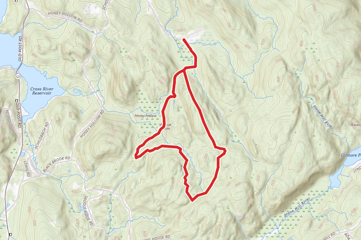 Ward Pound Ridge Green Trail Loop