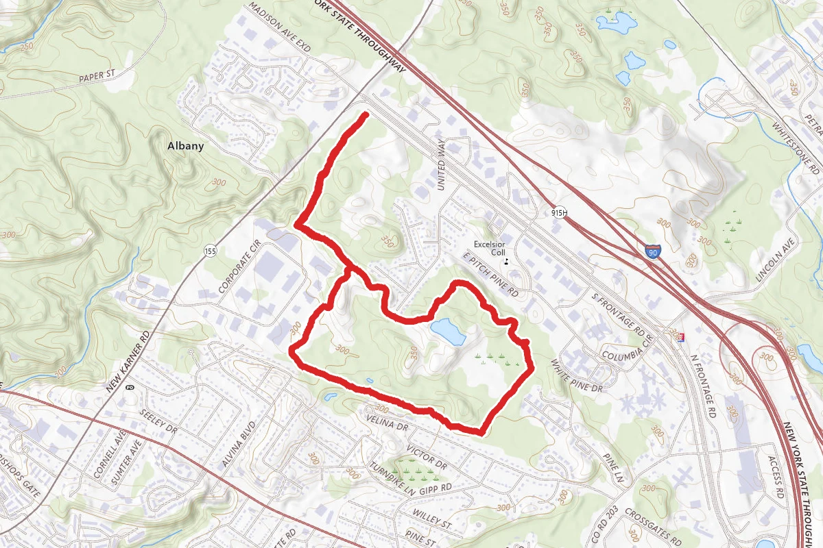 Pinebush Preserve Loop