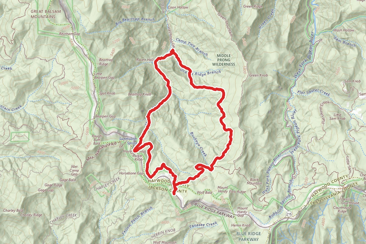 Haywood Gap and Buckeye Gap Loop