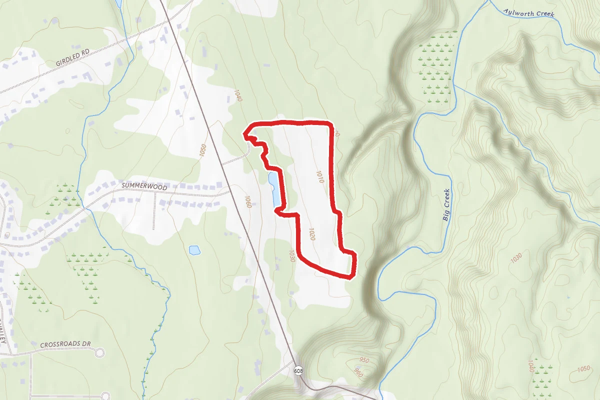 Skok Meadow