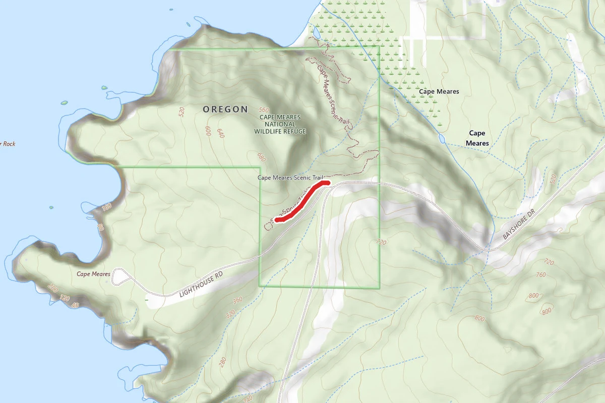 Big Spruce Trail