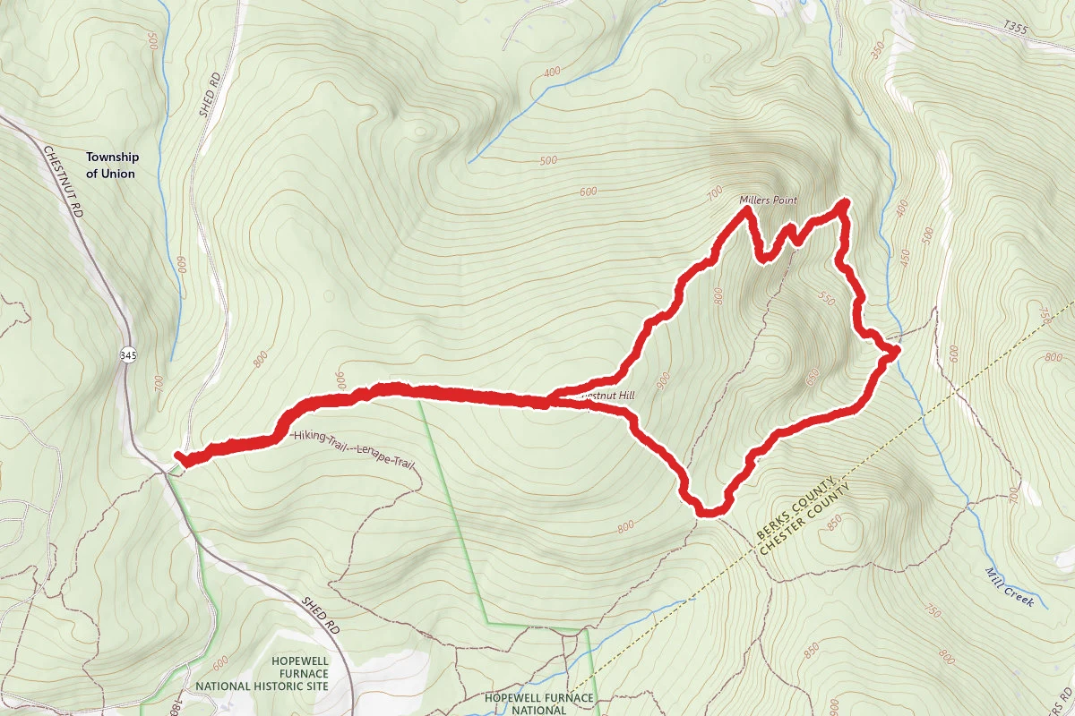 Mill Creek Trail to Raccoon Trail Loop